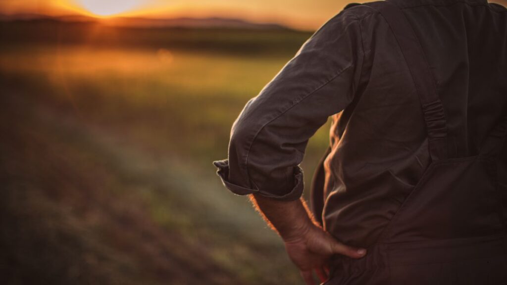 Disoccupazione Agricola Gennaio - Marzo: Come Richiederla con UNSIC Rimini | Rimini Riccione Cattolica Bellaria Cesenatico Cesena | Patronato e CAF Imprese Privati