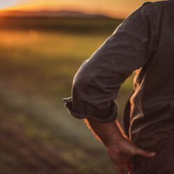 Disoccupazione Agricola Gennaio - Marzo: Come Richiederla con UNSIC Rimini | Rimini Riccione Cattolica Bellaria Cesenatico Cesena | Patronato e CAF Imprese Privati